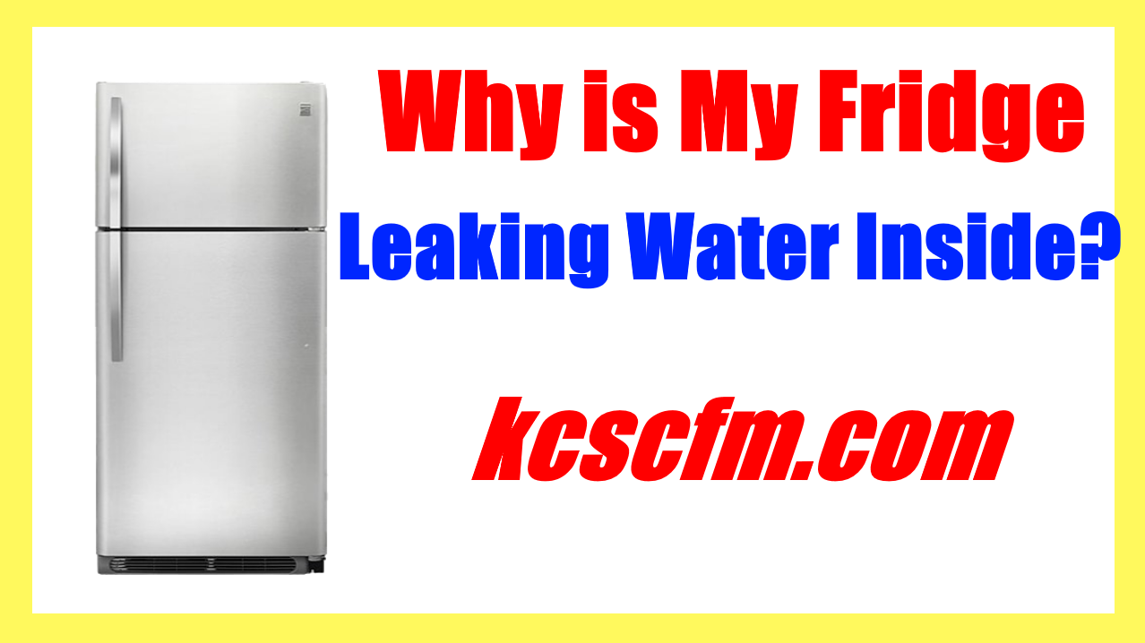 Why Is My Frigidaire Refrigerator Leaking Water On Floor Viewfloor Co