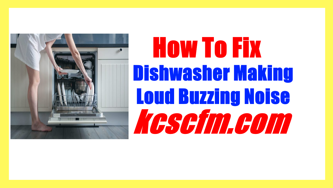Dishwasher Making Loud Buzzing Noise