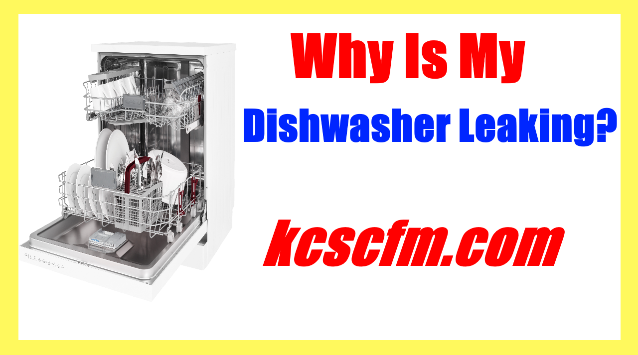 Why Is My Dishwasher Leaking? 8 Most Common Causes