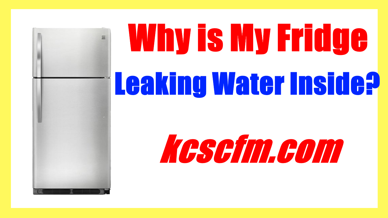 Why Is My Fridge Leaking Water Inside Causes and Solution