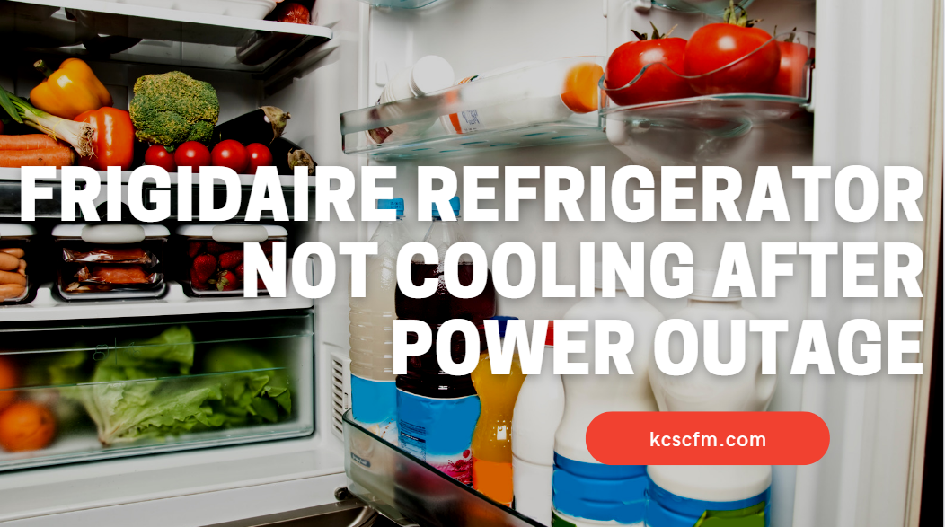 Frigidaire Refrigerator Not Cooling After Power Outage